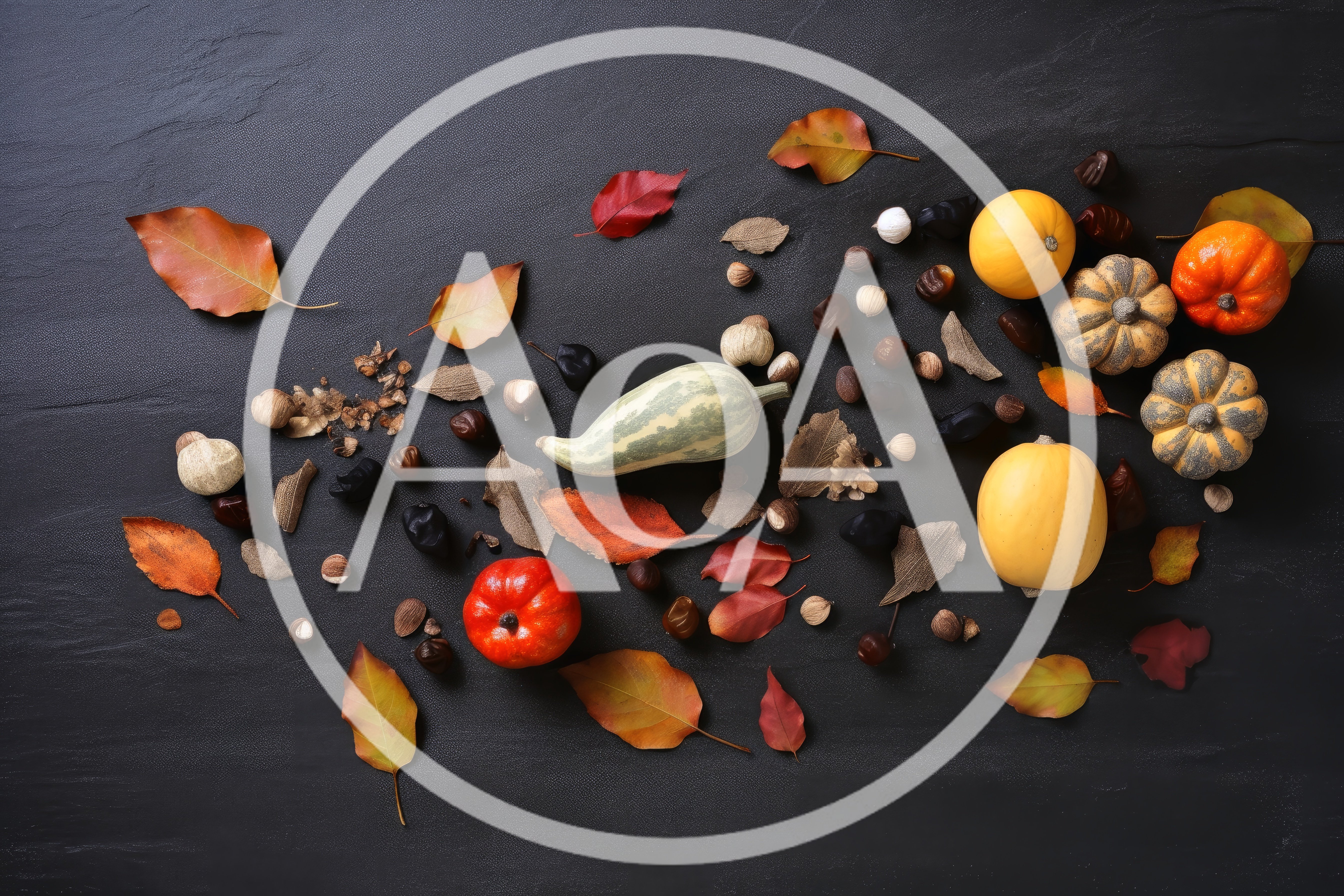 Autumn Harvest Flat Lay With Pumpkins And Leaves
