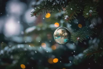 Christmas Ornament Hanging on Snowy Pine Branch