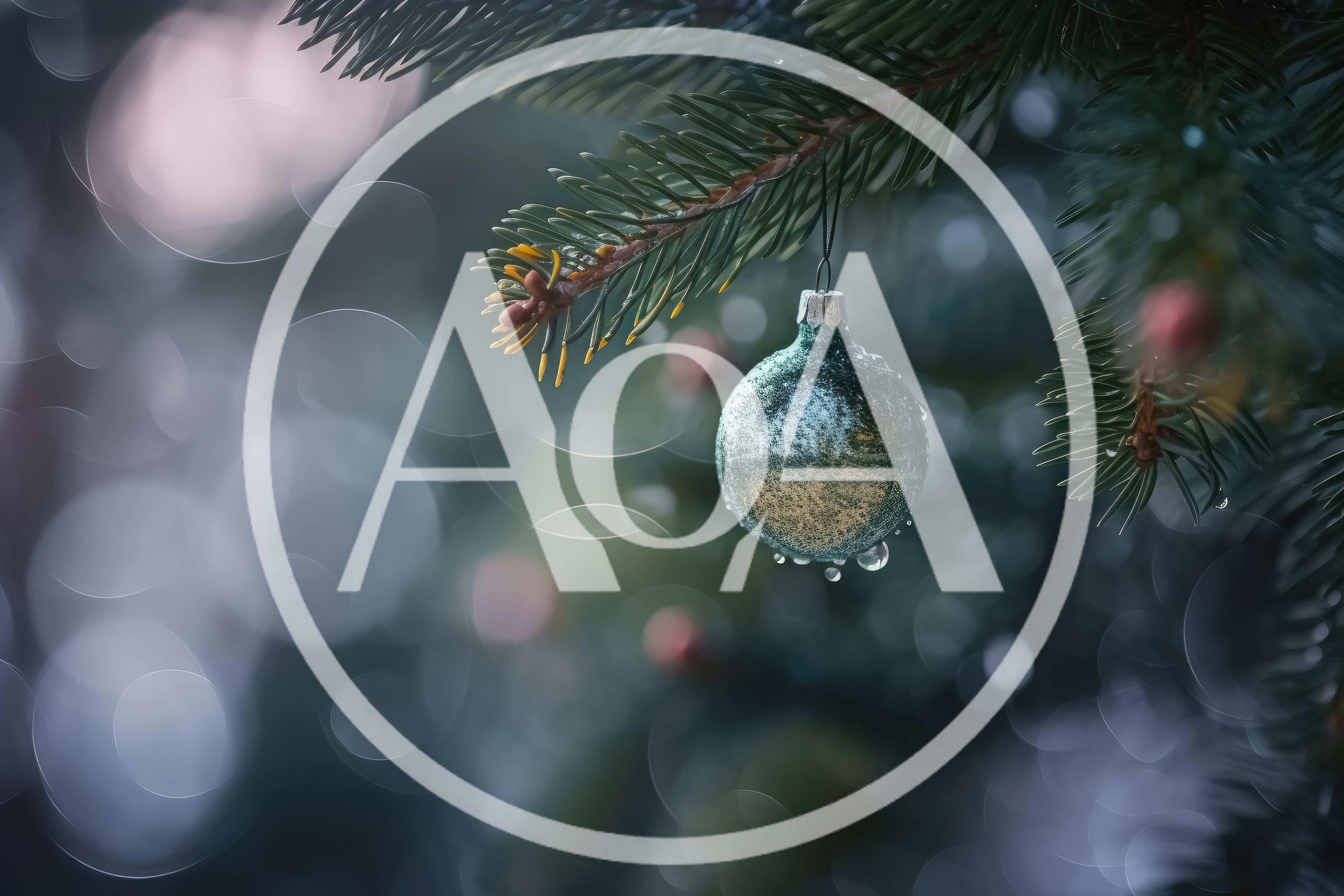 Single Christmas Ornament Hanging On Pine Branch