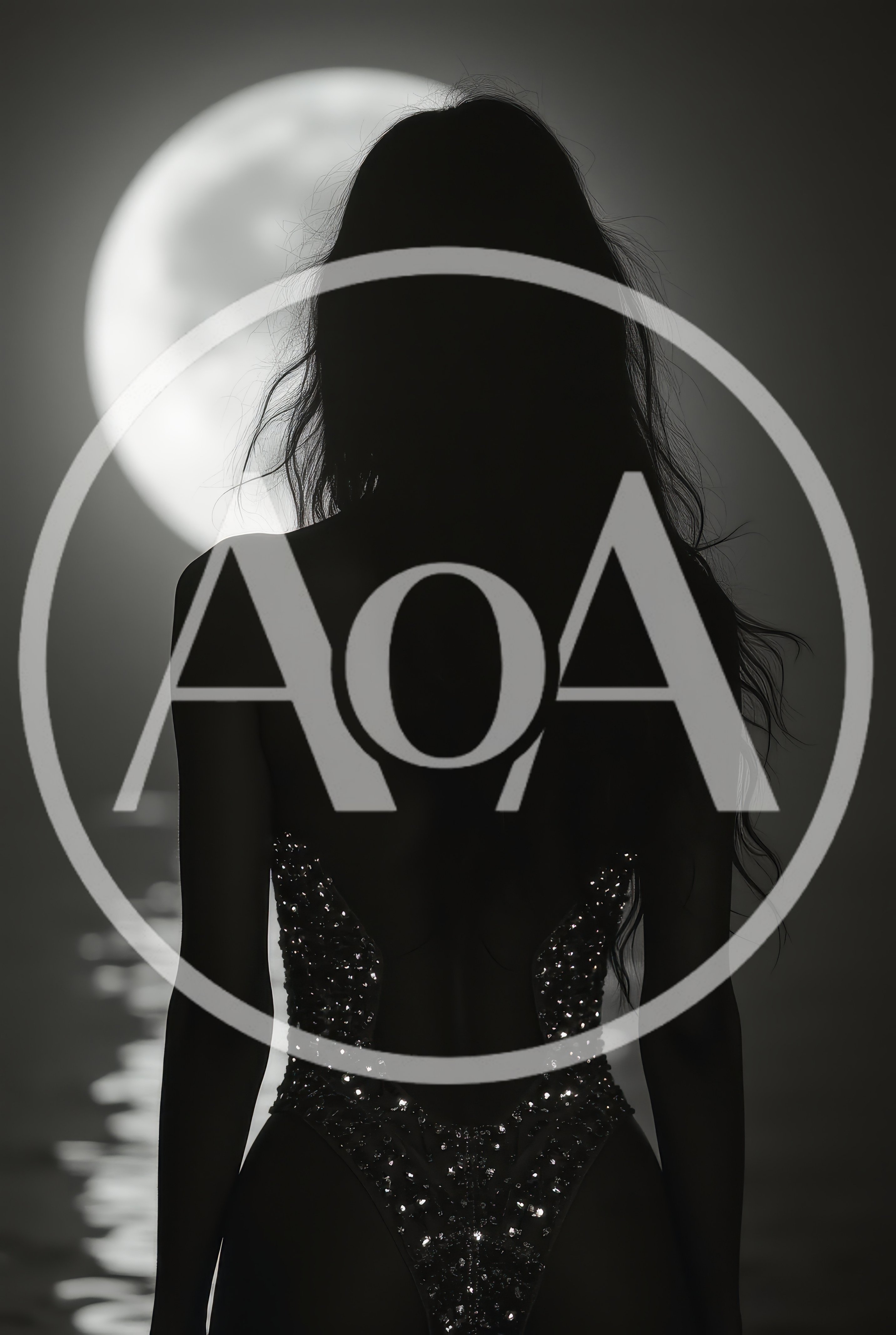 Silhouette Of A Woman In A Sparkling Bodysuit