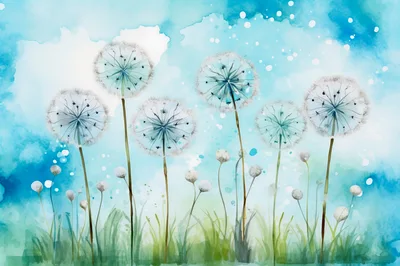 Watercolor Illustration Of Dandelion Flowers In A Meadow