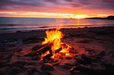 Bright Campfire Burning on a Sandy Beach at Sunset