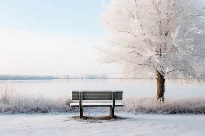 Empty Bench Under Frost Covered Tree By Frozen Lake