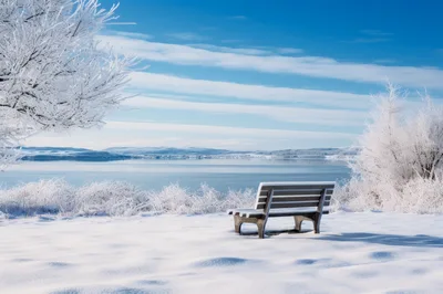 Empty Park Bench Overlooking Frozen Winter Lake