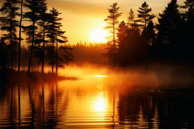 Golden Sunrise Over A Misty Forest Lake