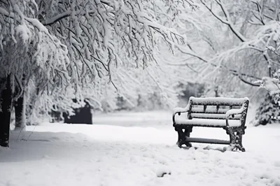 Empty Park Bench Covered In Fresh Winter Snow