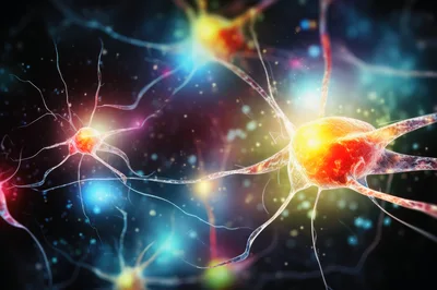 Glowing Neurons Transmitting Electrical Signals In Neural Network