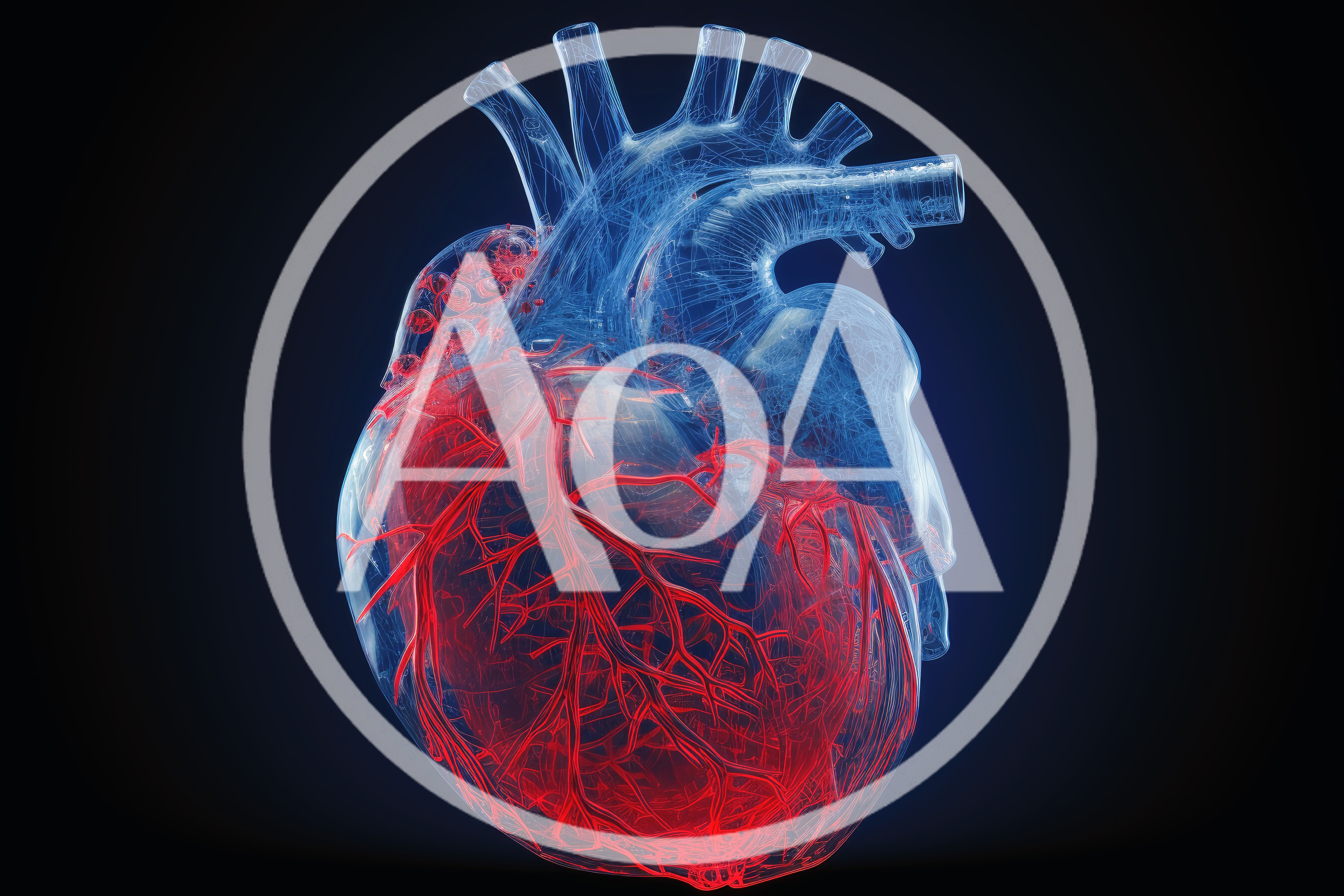3D Render Of Human Heart Anatomy With Coronary Arteries