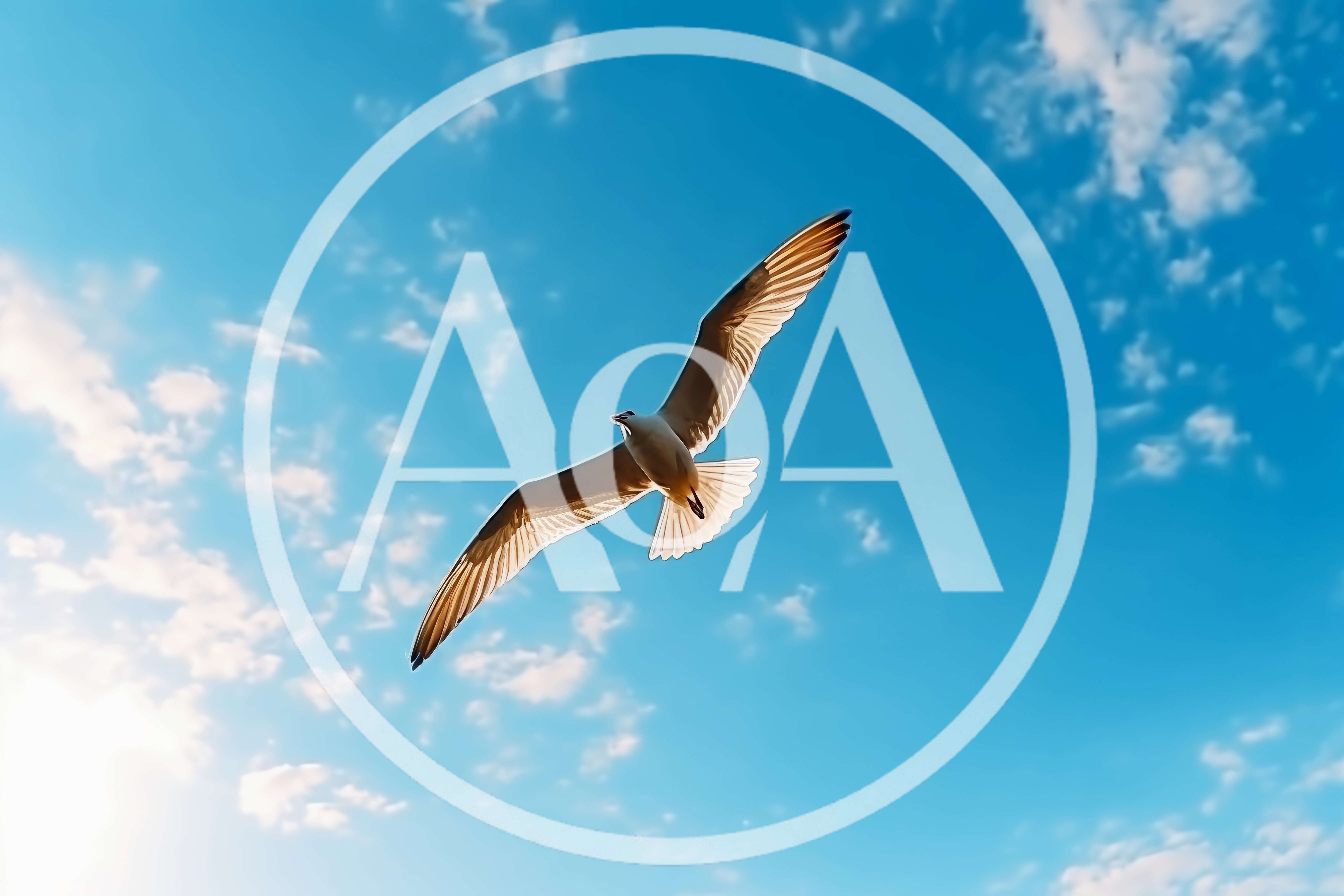 Seagull Soaring Against A Bright Blue Sky