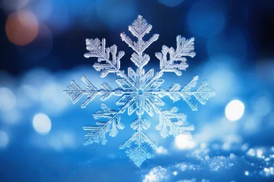 Macro Close Up Of A Single Intricate Snowflake