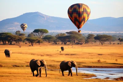 African Elephants Grazing Near Waterhole With Hot Air Balloons