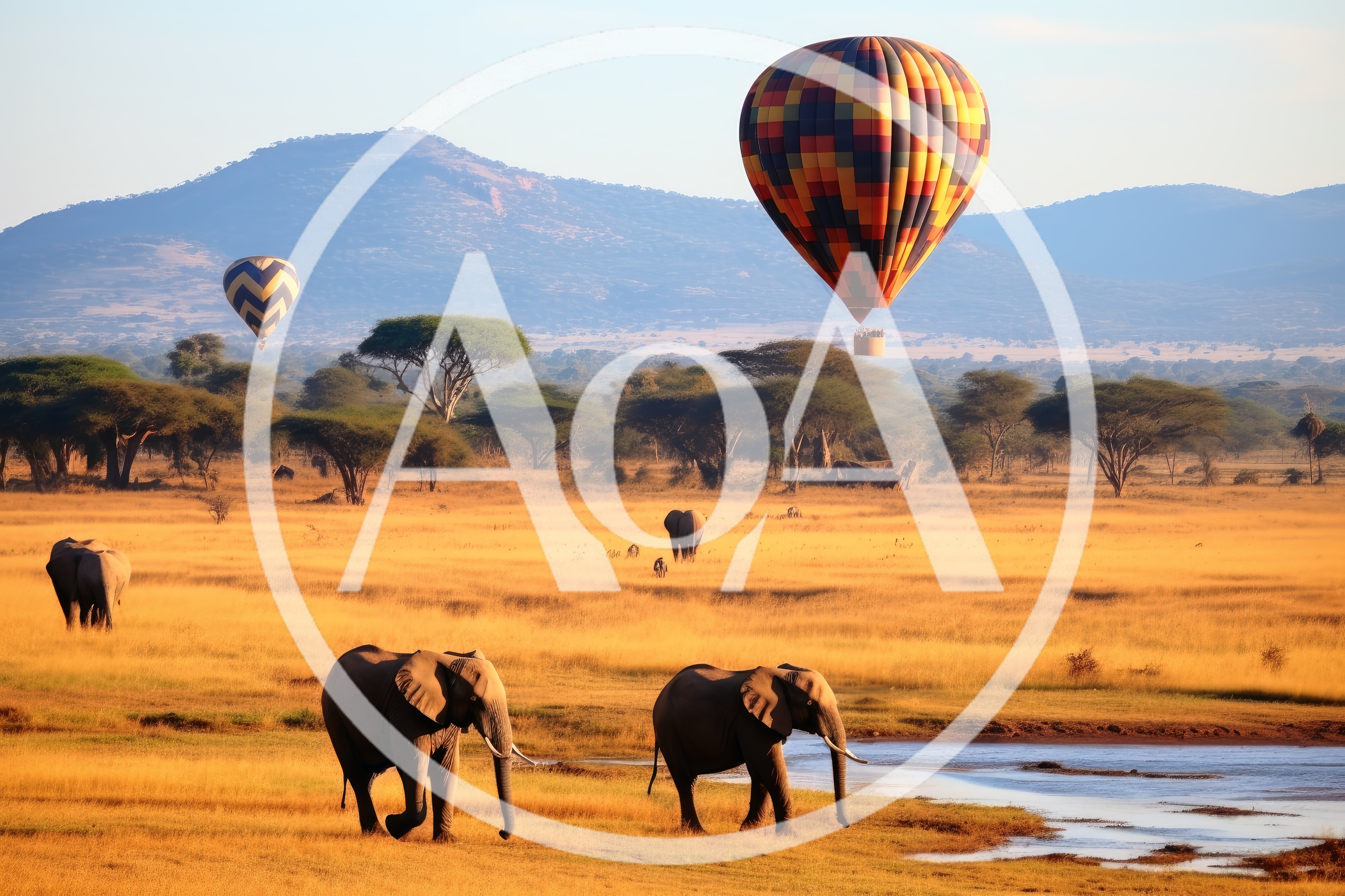 African Elephants Grazing Near Waterhole With Hot Air Balloons