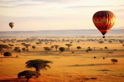 Hot Air Balloons Flying Over The Serengeti Savannah