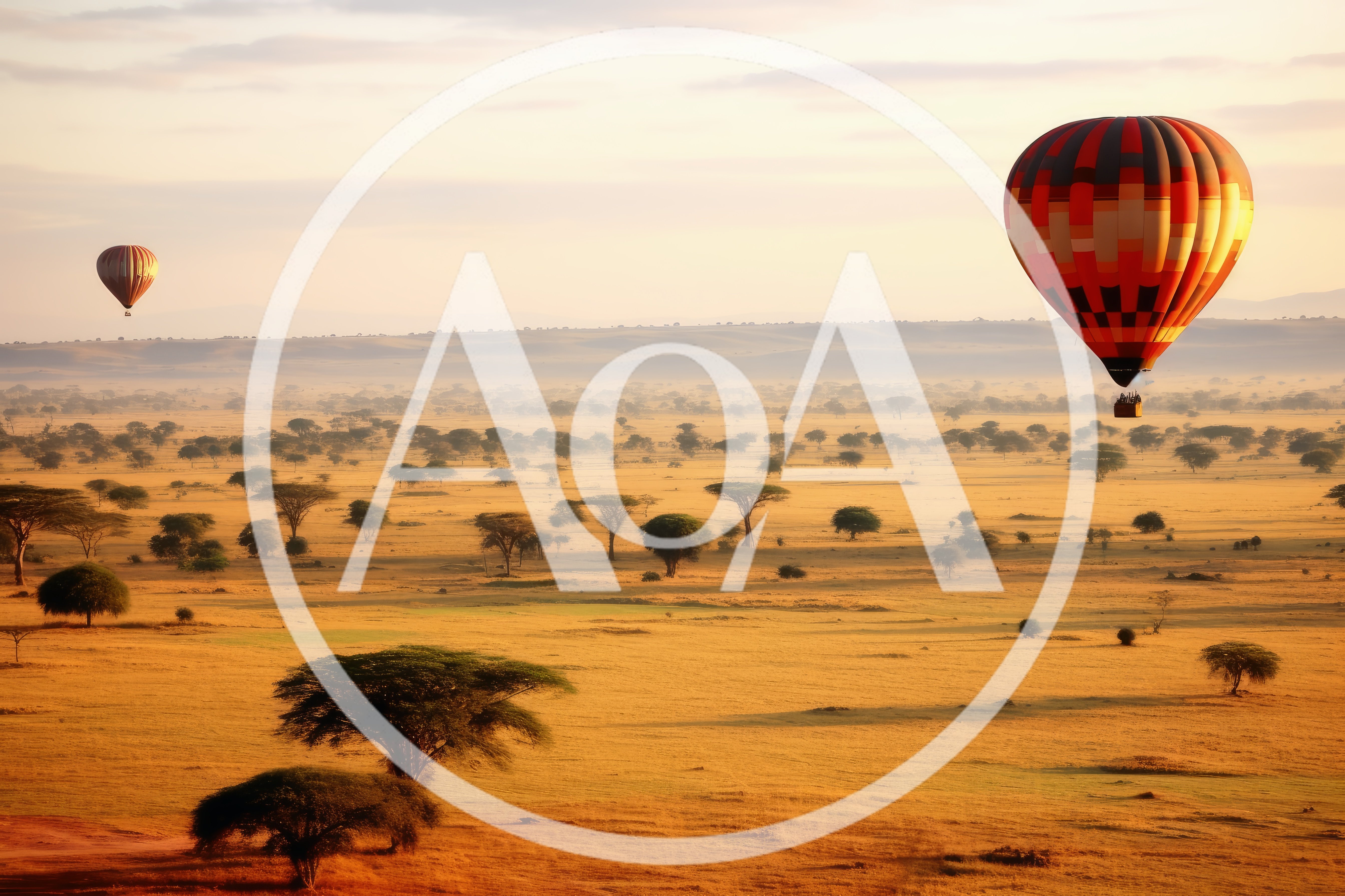 Hot Air Balloons Flying Over The Serengeti Savannah