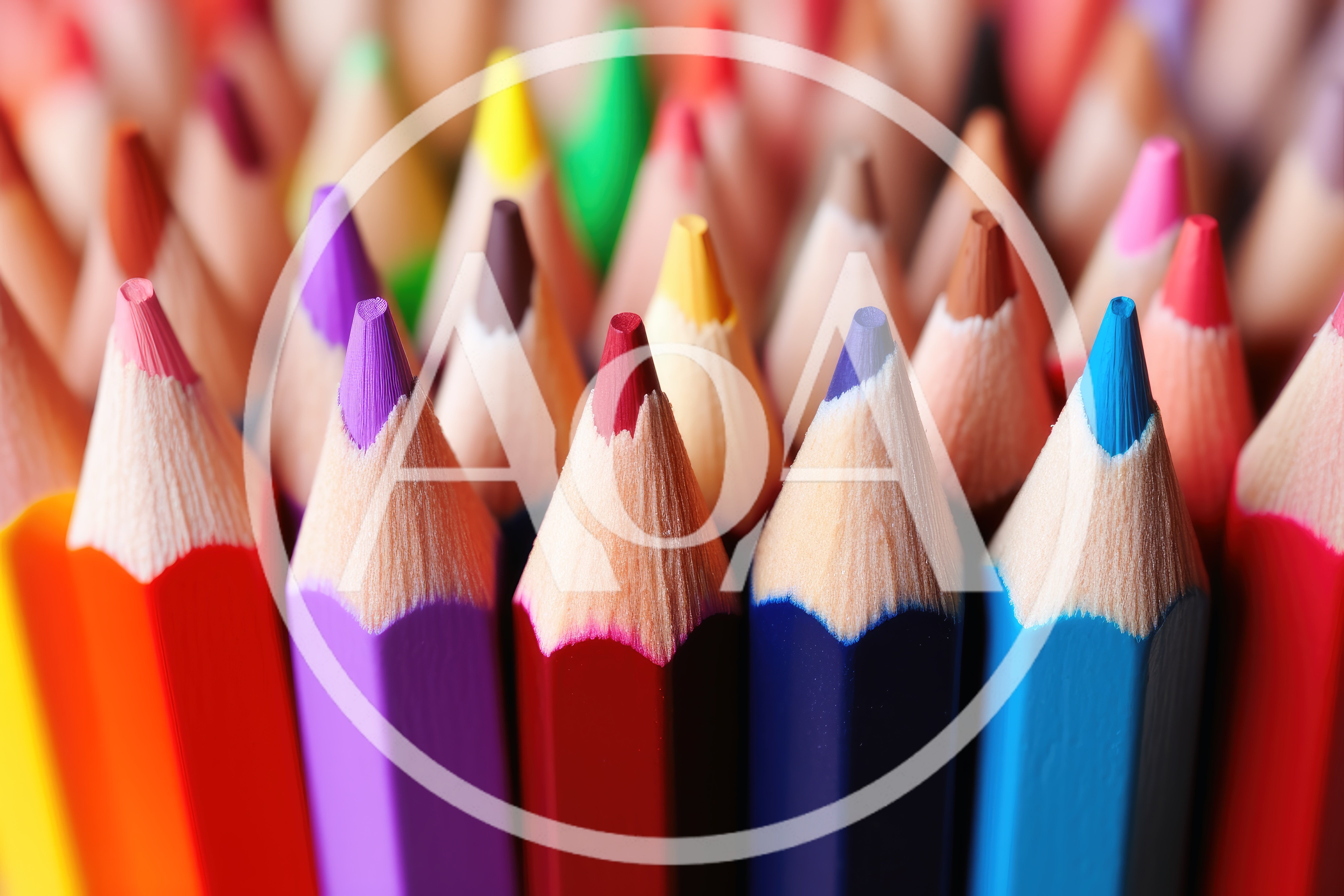 Close Up Of Colorful Sharpened Pencils
