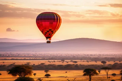Hot Air Balloon Flying Over African Savannah At Sunrise