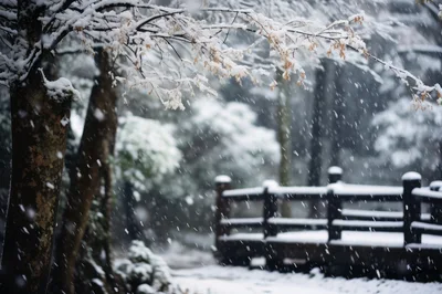 Snow Falling Over A Wooden Bridge In Winter