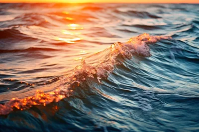 Golden Sunset Light Reflecting On Ocean Waves