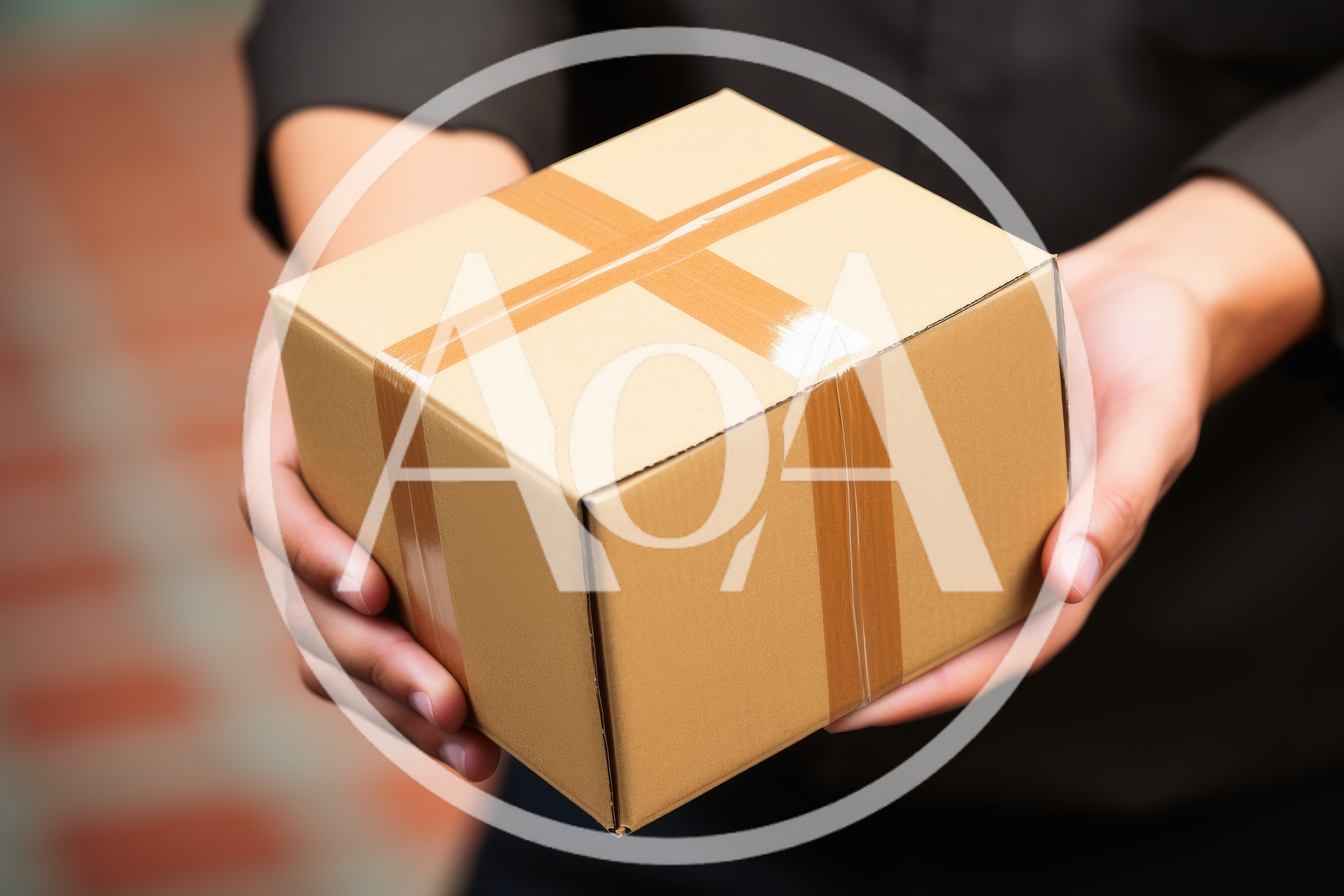 Delivery Person Holding A Cardboard Package