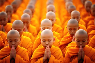 Young Buddhist Monks Praying in Orange Robes