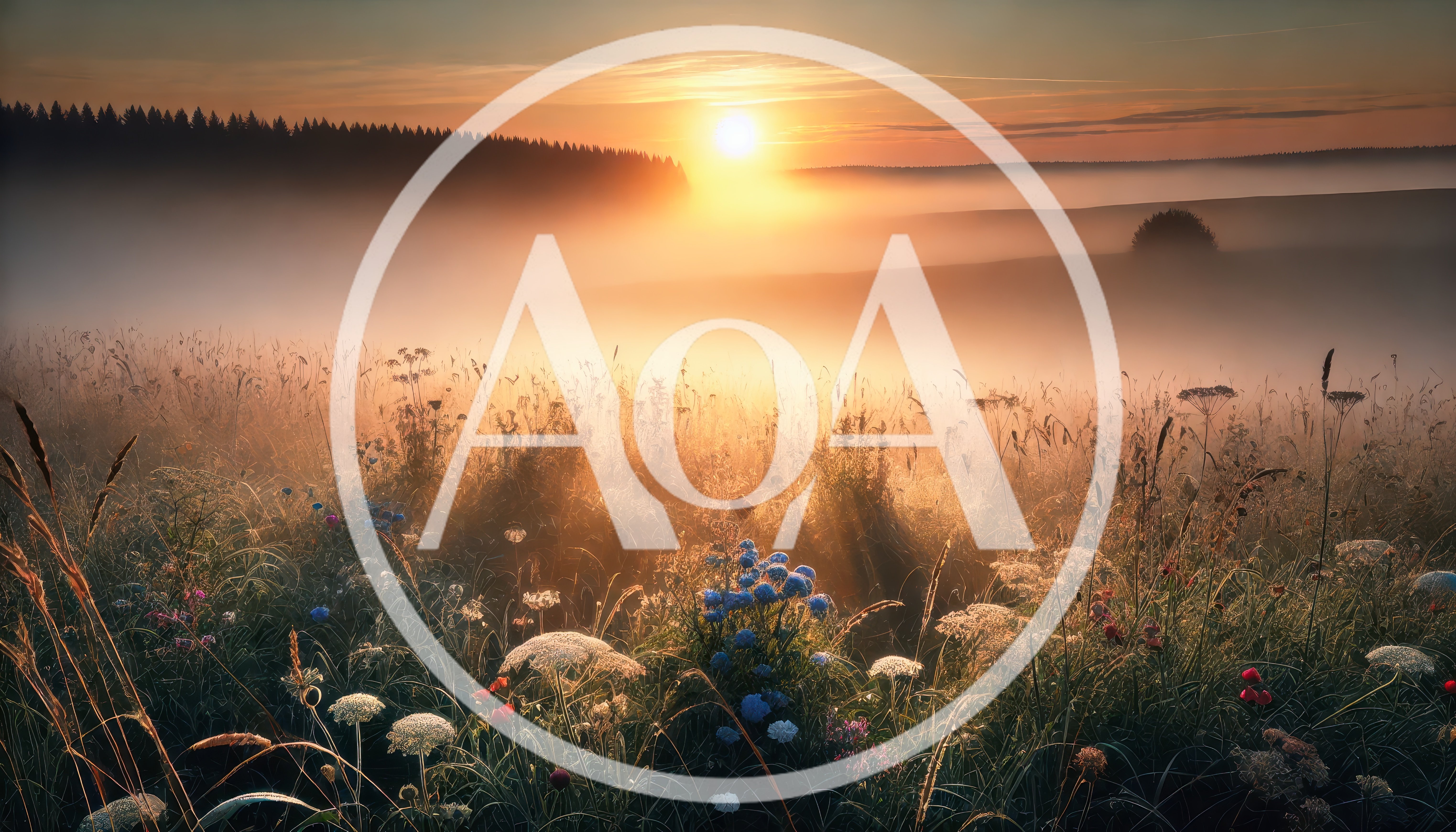 Golden Sunrise Over A Misty Wildflower Meadow