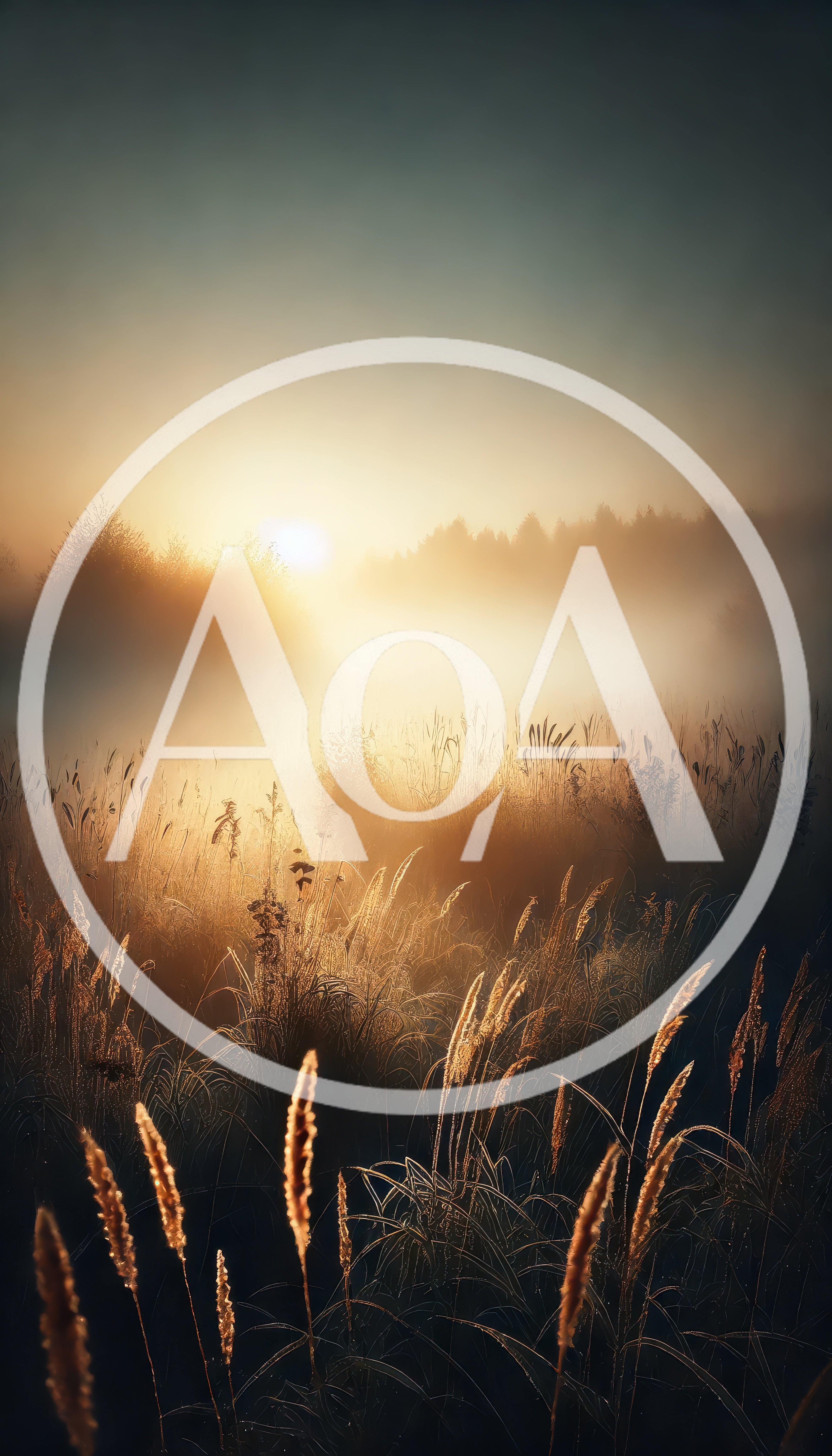 Golden Sunrise Over A Misty Meadow