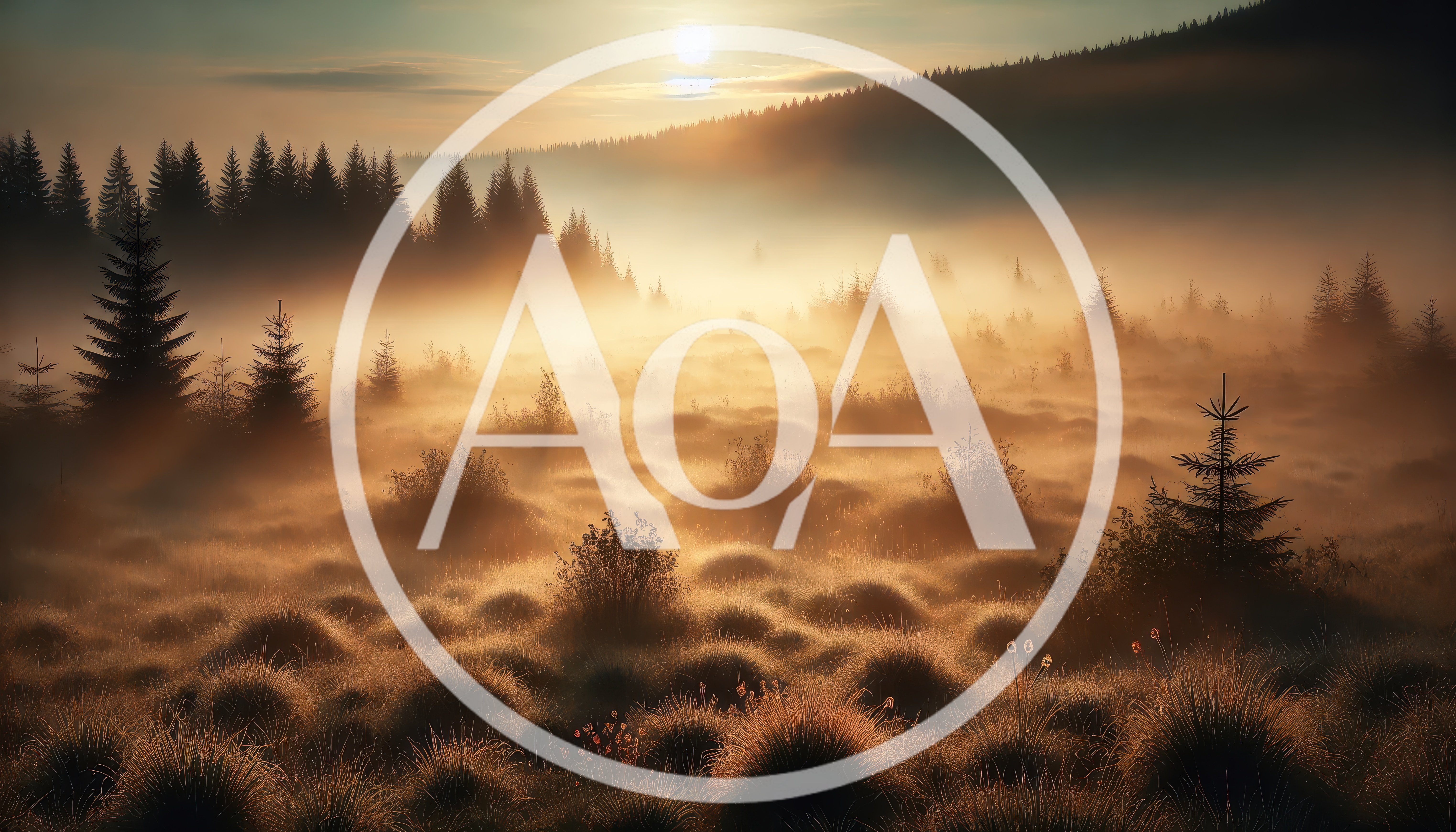 Golden Sunrise Over Misty Forest Meadow