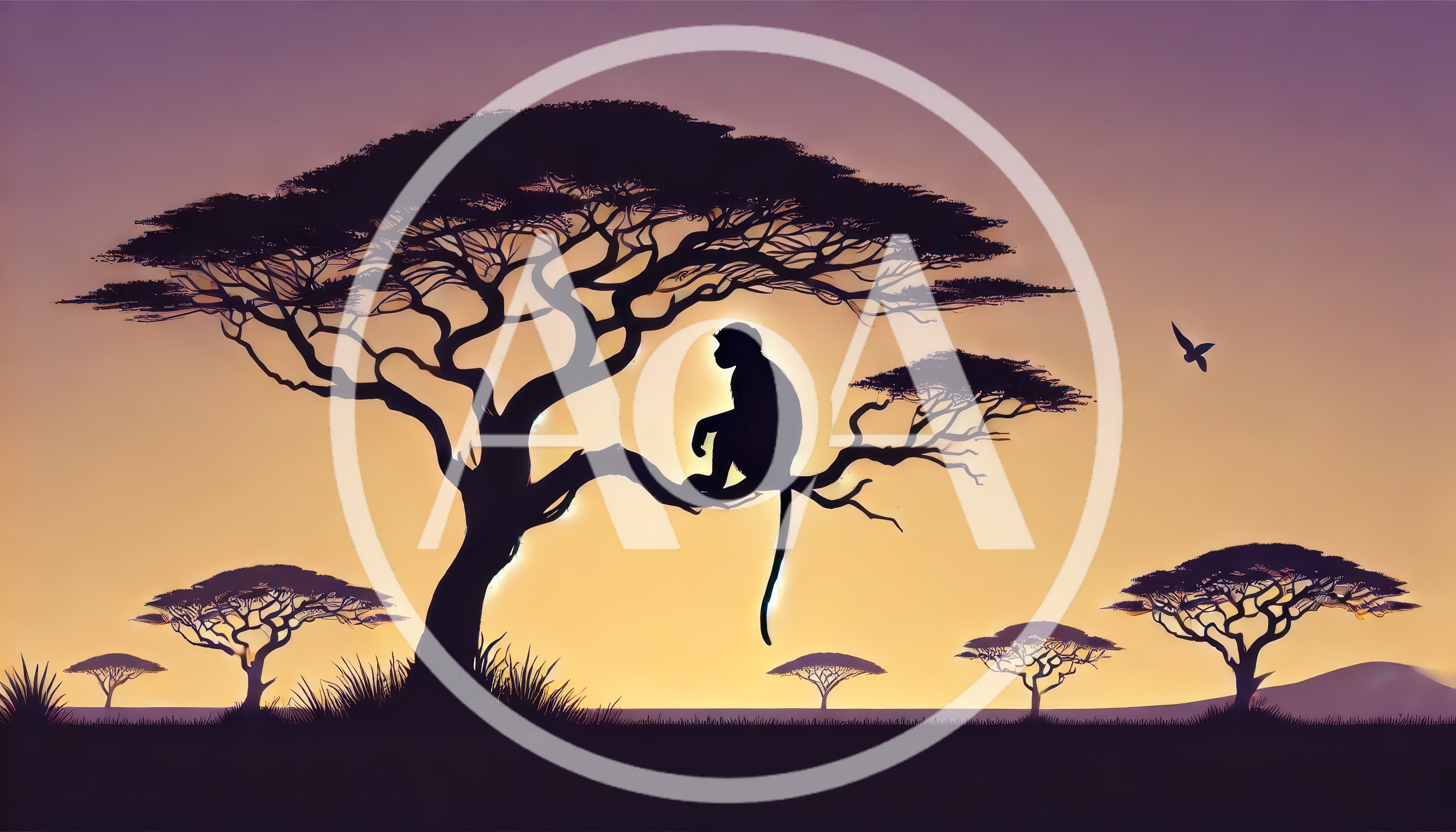 Silhouette Of A Monkey Sitting In An Acacia Tree