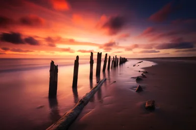 Wooden Groyne Posts On A Sandy Beach At Sunset