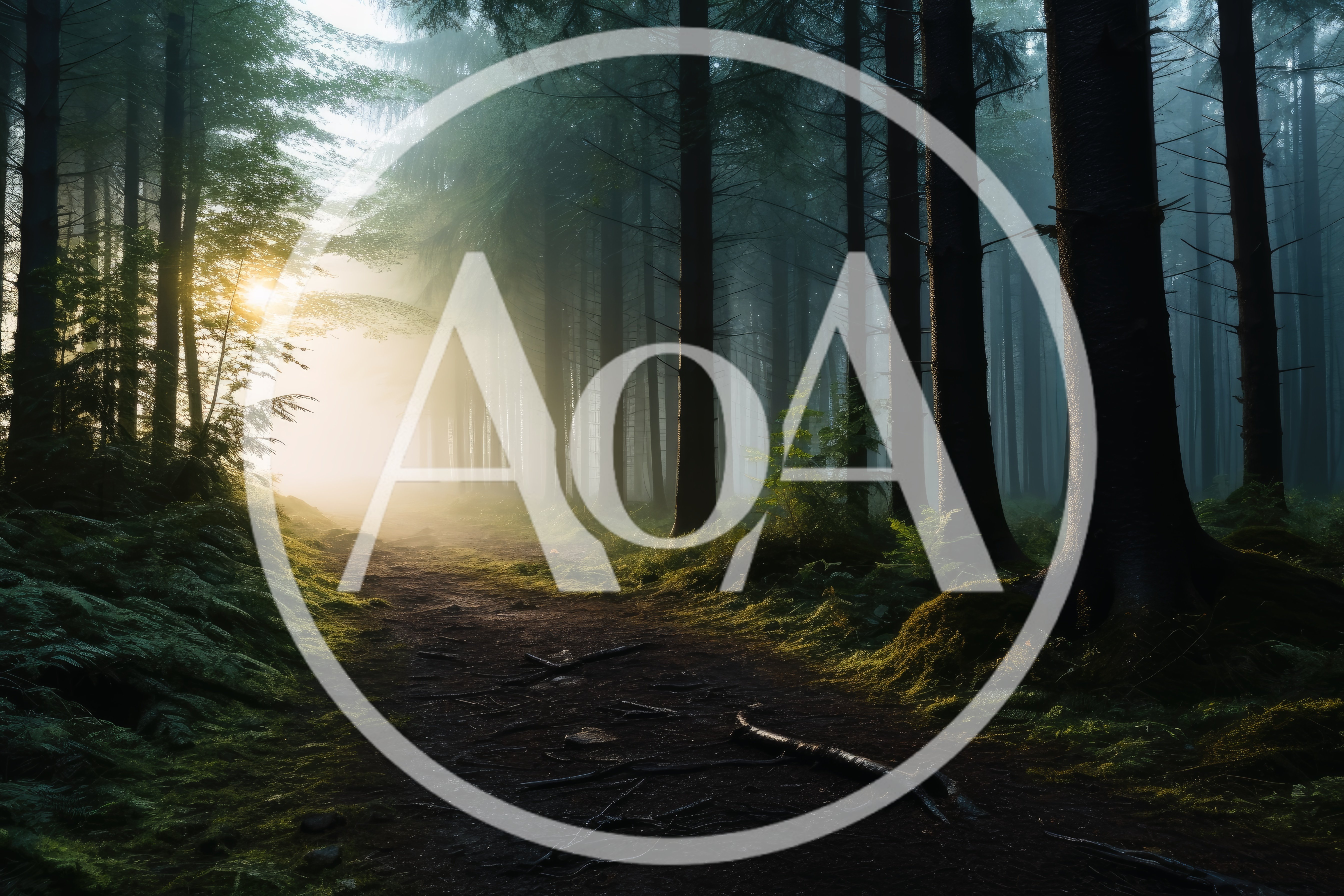 Sunlight Piercing Through Foggy Forest Path