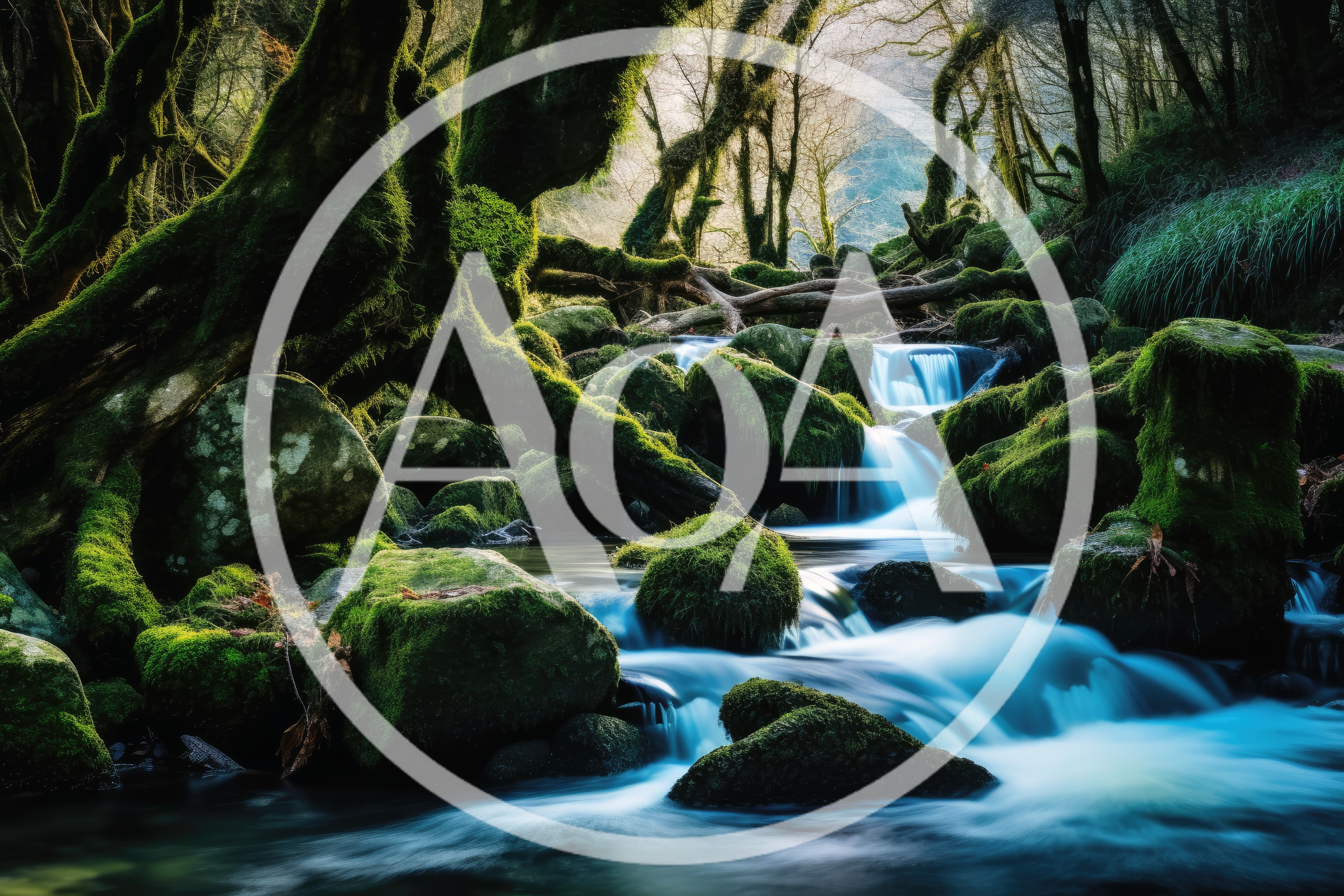 Mossy Rocks And Cascading Stream In Ancient Forest