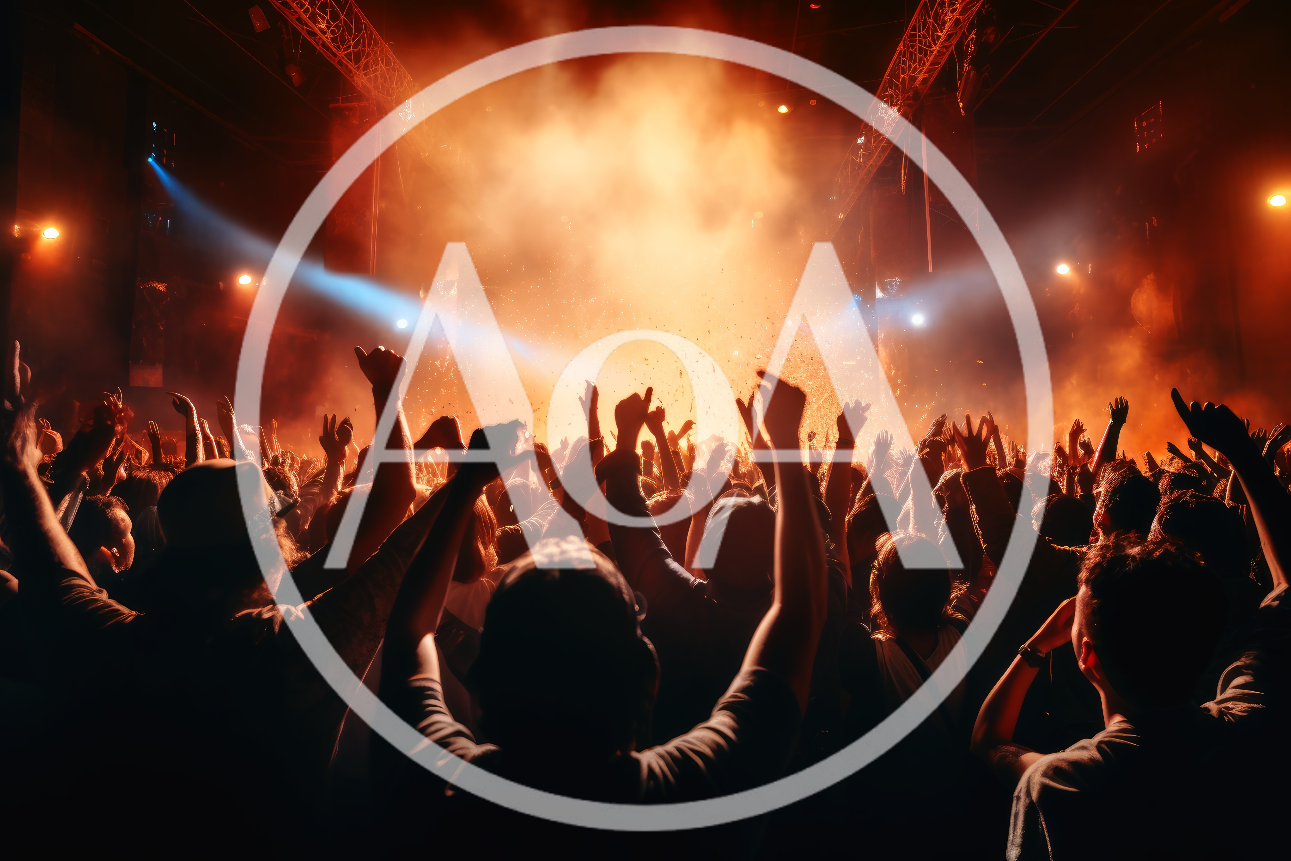 Crowd With Raised Hands At A Music Concert