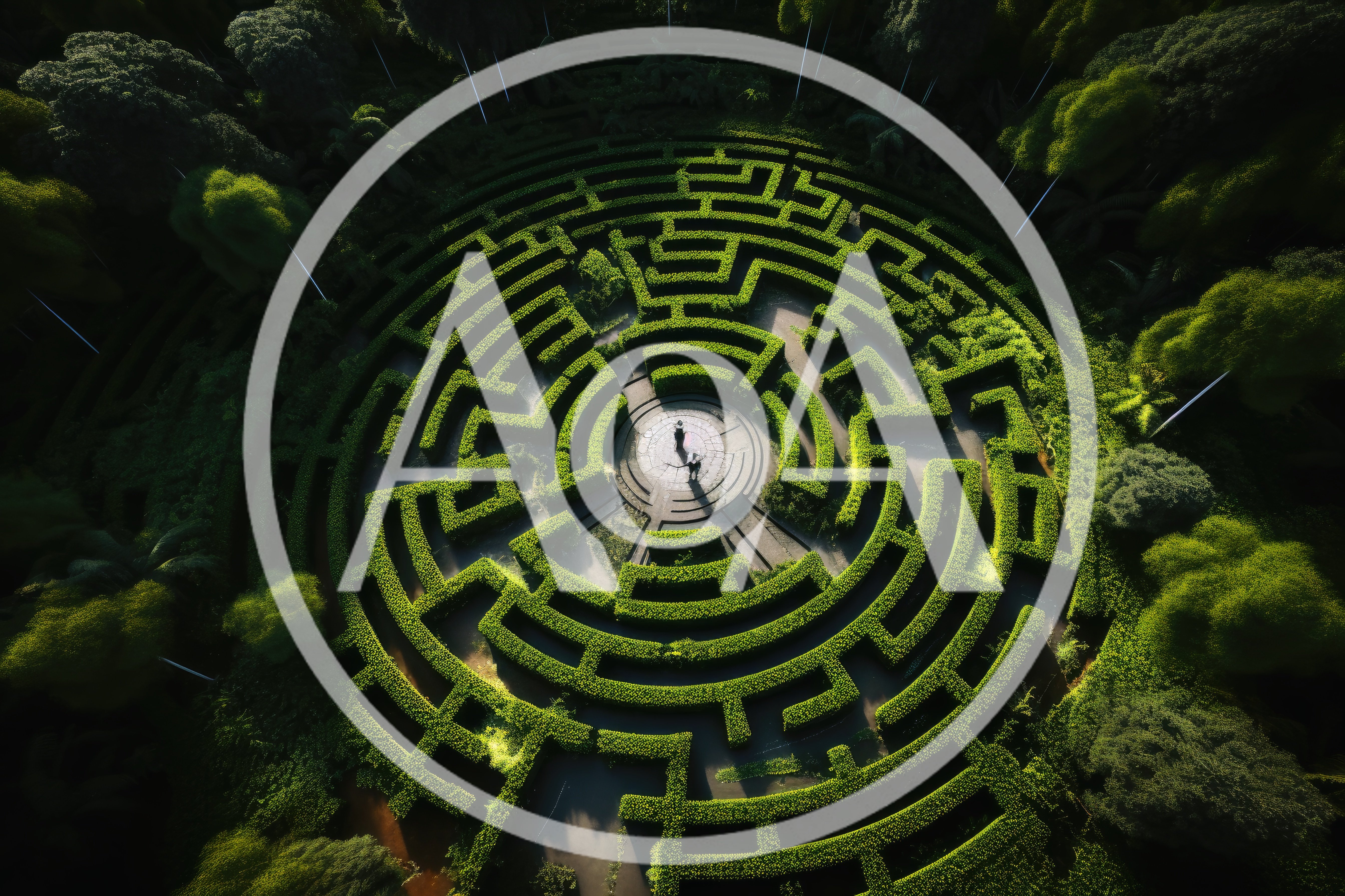 Aerial View Of A Couple In A Circular Hedge Maze