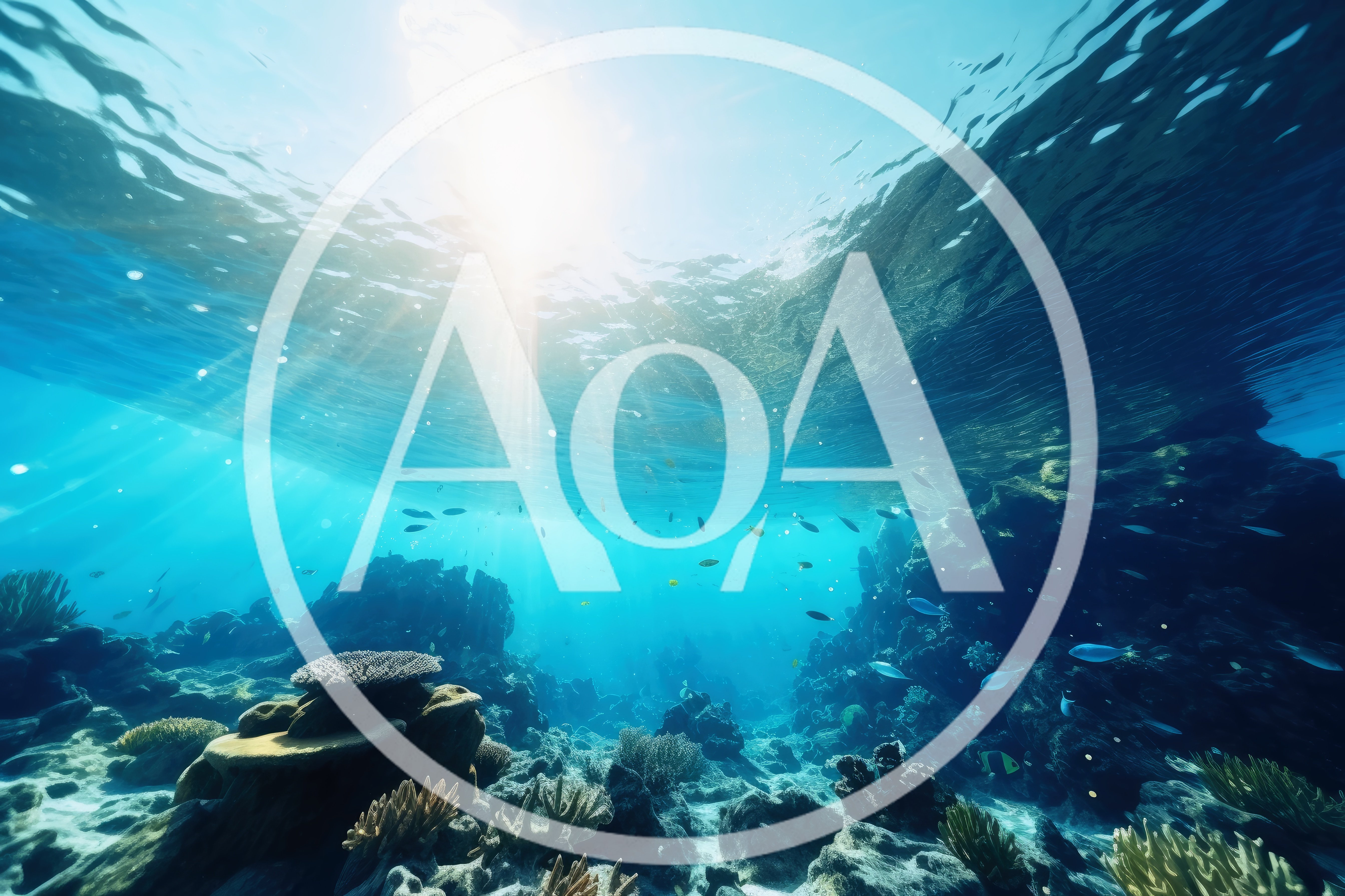 Underwater View Of A Vibrant Coral Reef Ecosystem