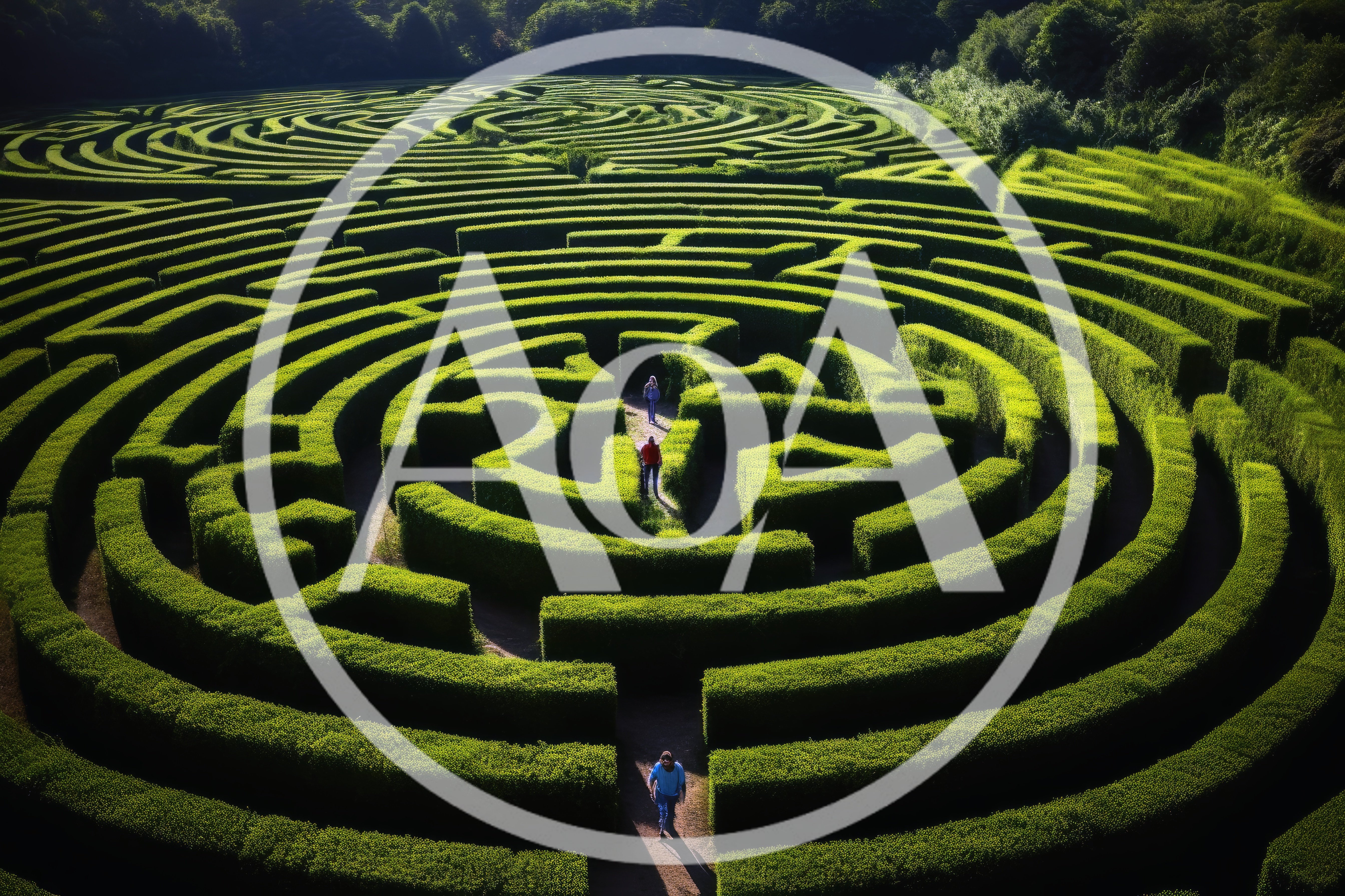 Aerial View Of People Navigating A Large Hedge Maze