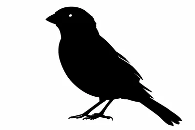 Black Silhouette Of A Small Songbird