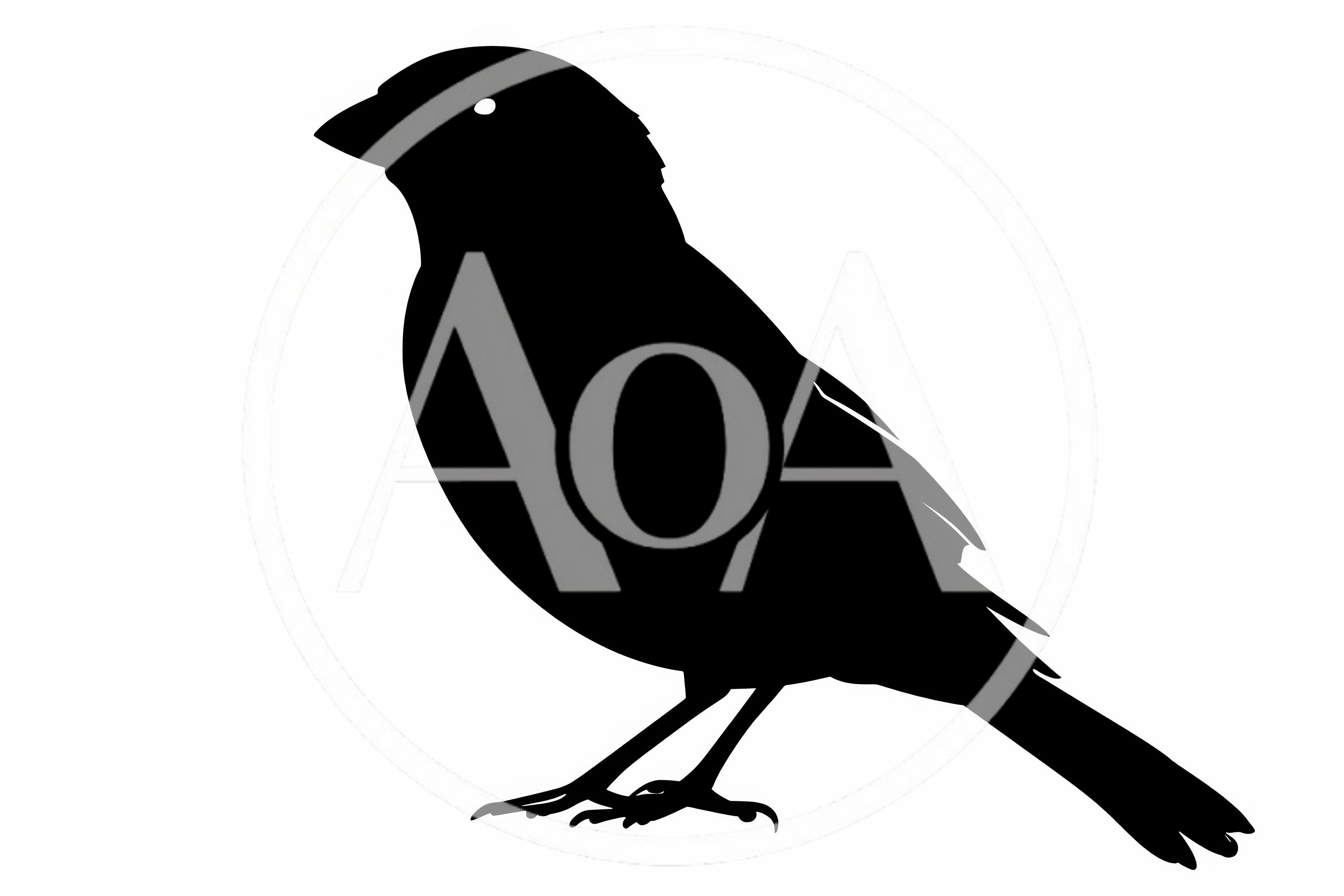 Black Silhouette Of A Small Songbird