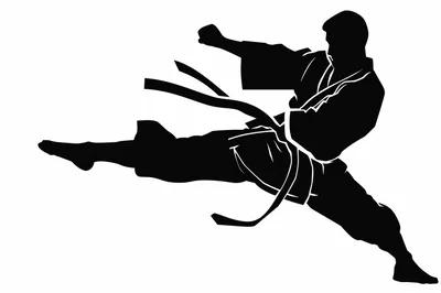 Black Silhouette Of A Martial Artist Performing A Kick