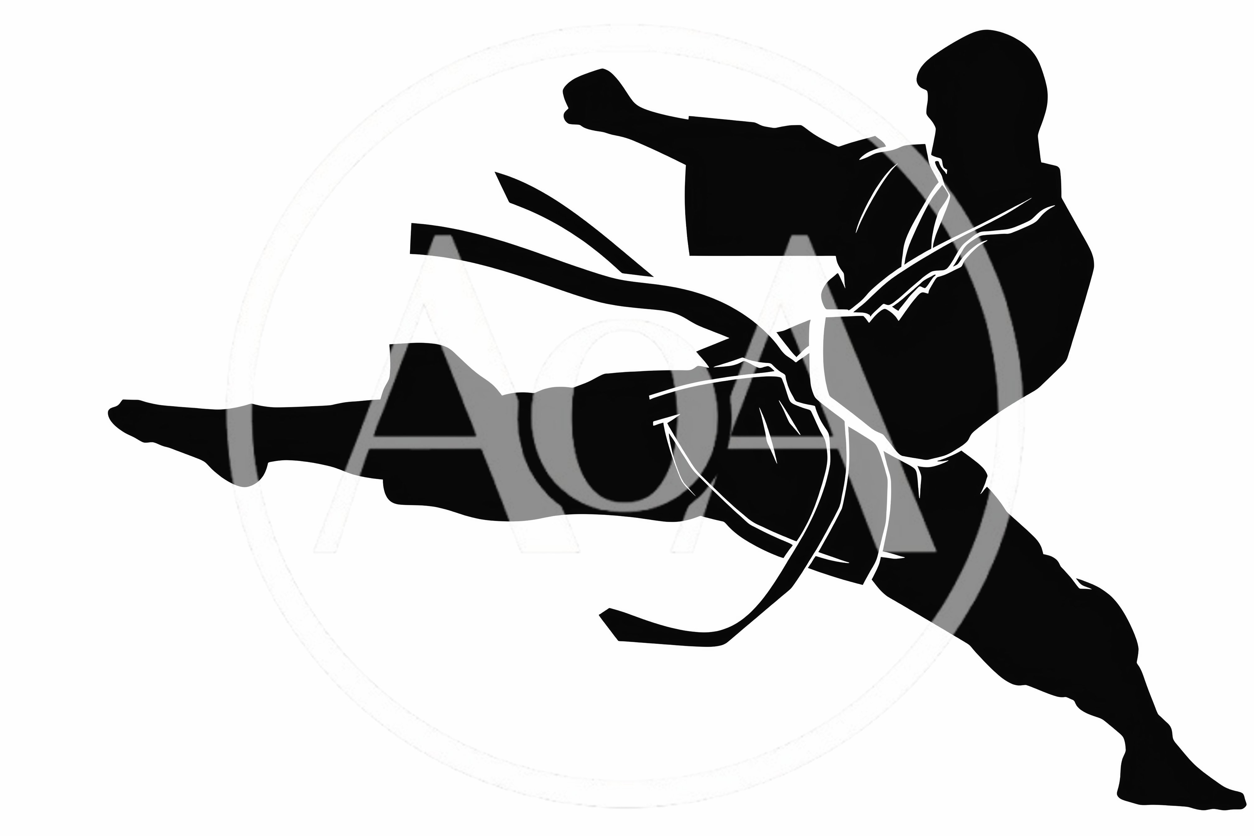 Black Silhouette Of A Martial Artist Performing A Kick