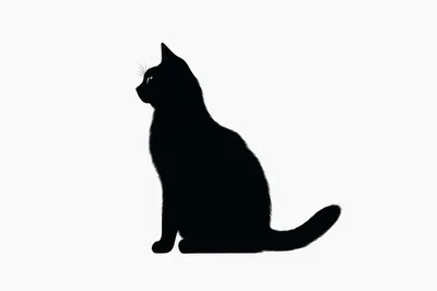 Black Cat Silhouette Sitting In Profile