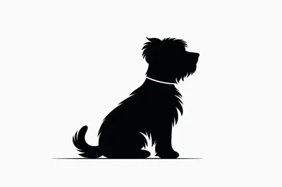 Black Silhouette Of A Sitting Terrier Dog
