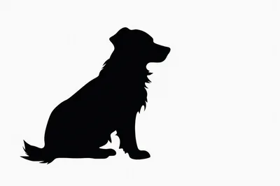 Black Silhouette Of A Sitting Dog