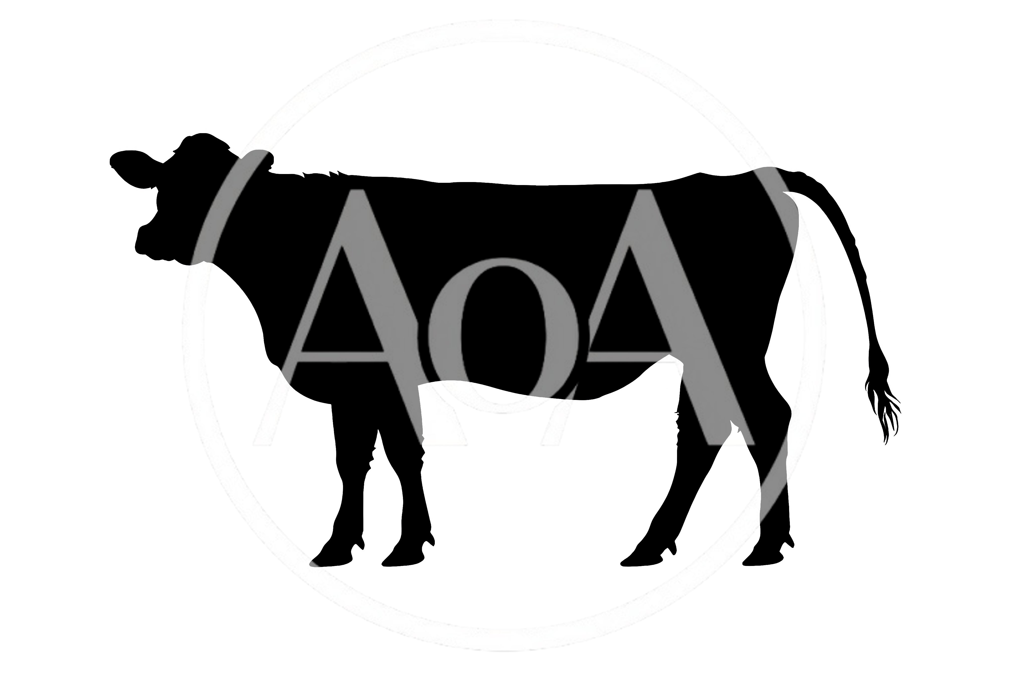 Black Silhouette Of A Cow Standing On White Background