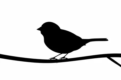 Black Silhouette Of A Small Bird Perched On Branch