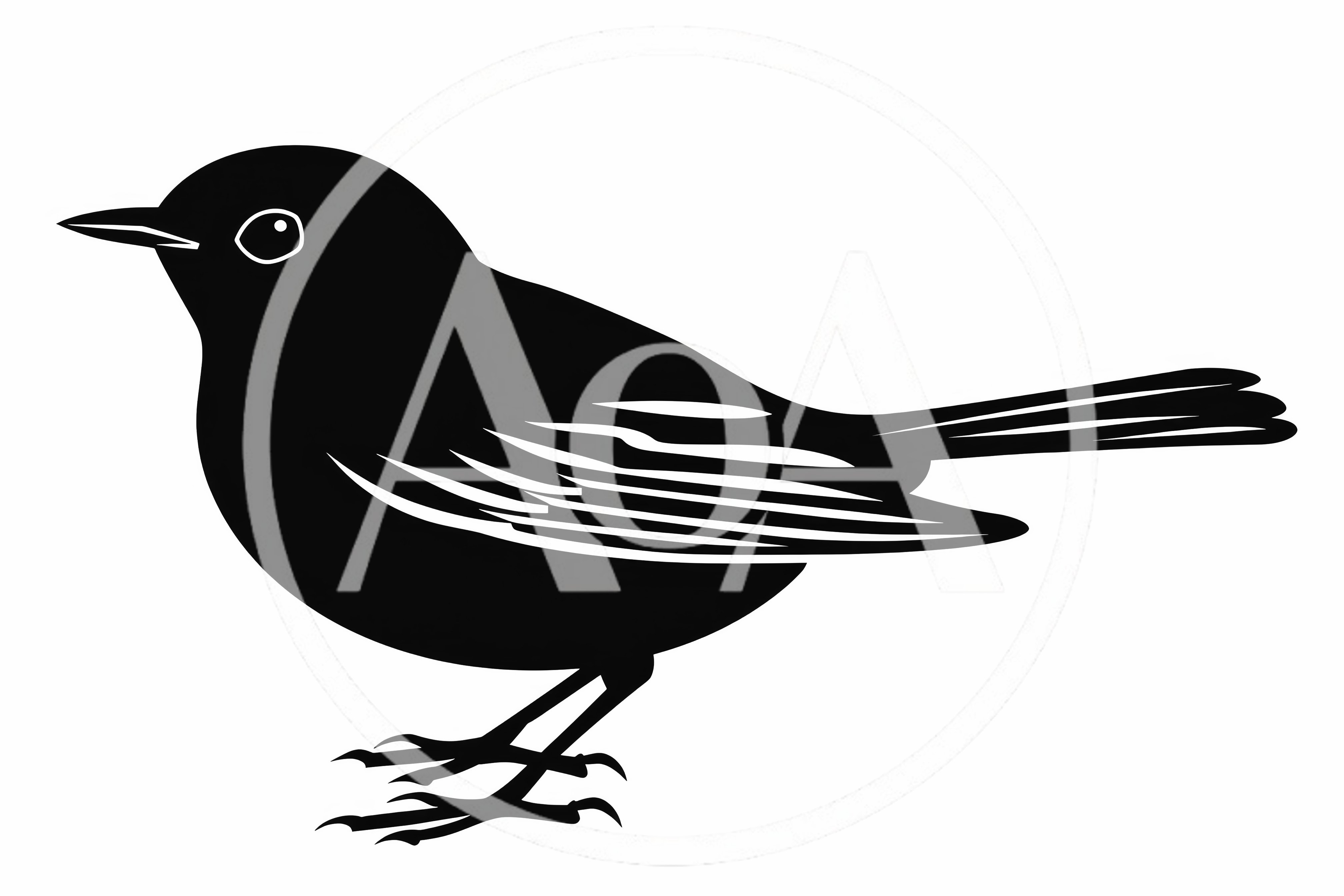 Minimalist Black Bird Silhouette Illustration