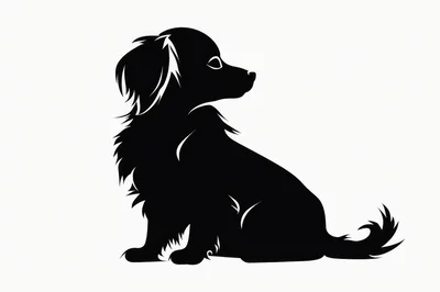 Black Silhouette Of A Sitting Long Haired Dog