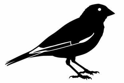 Black And White Silhouette Of A Small Bird