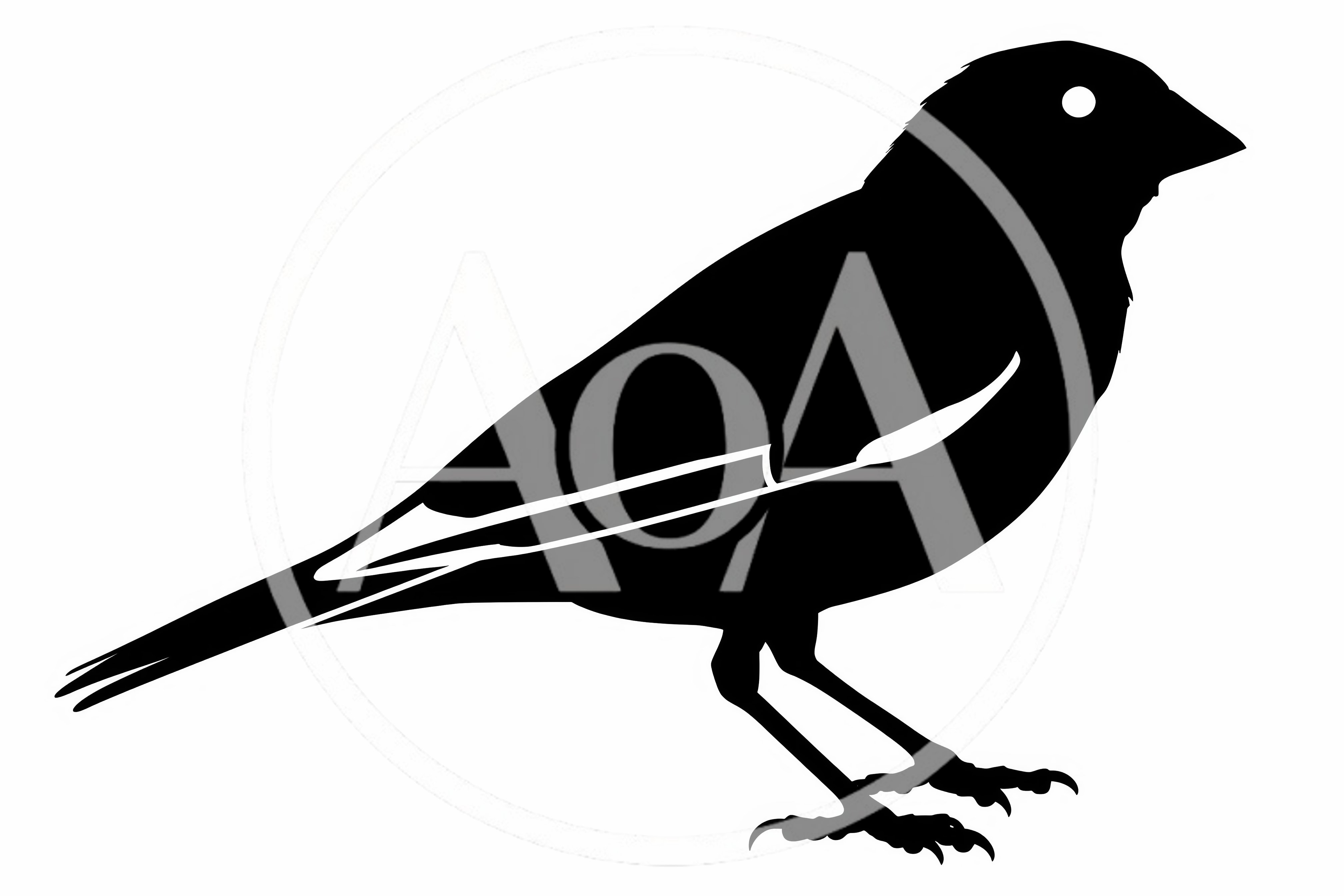 Black And White Silhouette Of A Small Bird