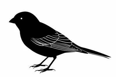 Black Silhouette Illustration Of A Small Songbird