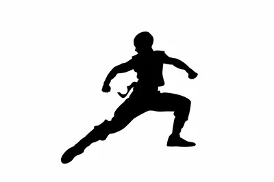 Silhouette Of A Martial Artist In A Fighting Stance